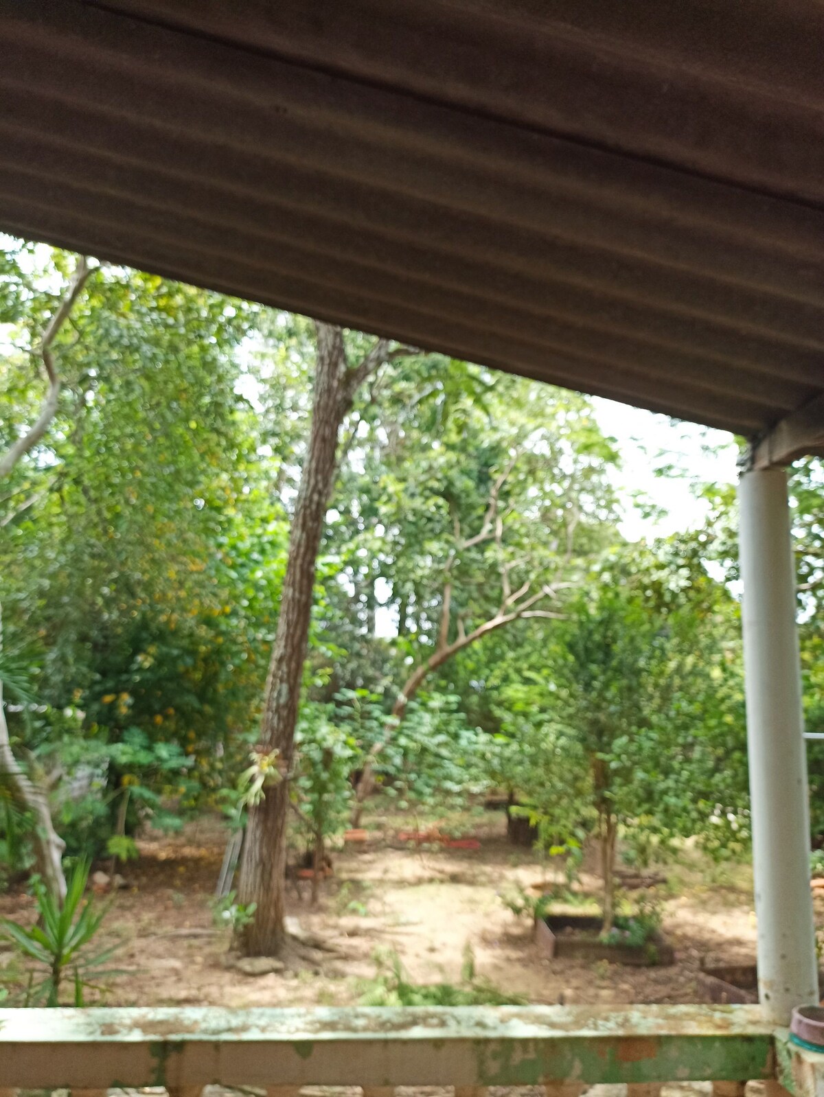 Rancho para finais de semana próx.aRibeirão preto