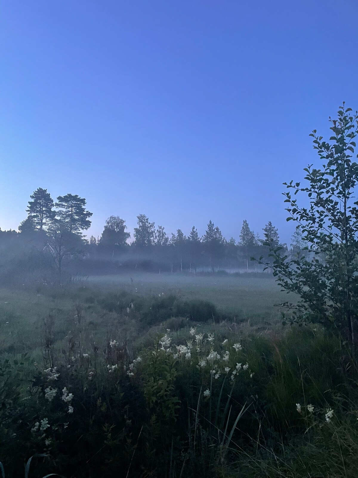 Stuga med bad, fiske och båt