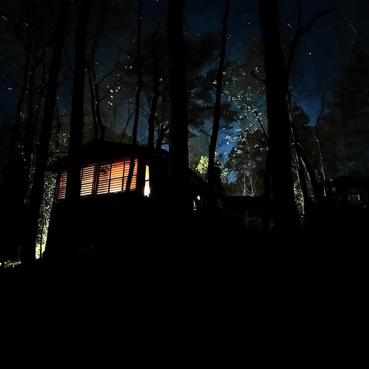 森林中的宁静小木屋