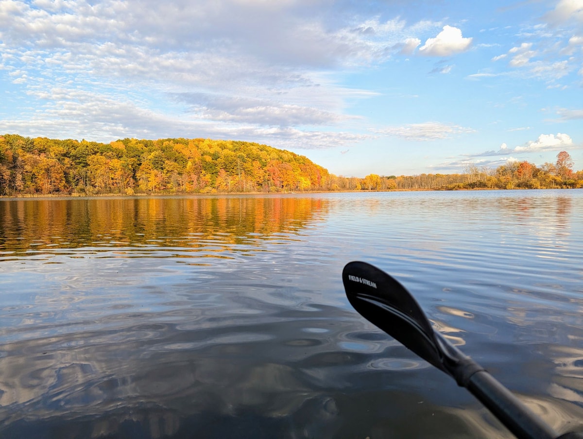 Tranquil Waters