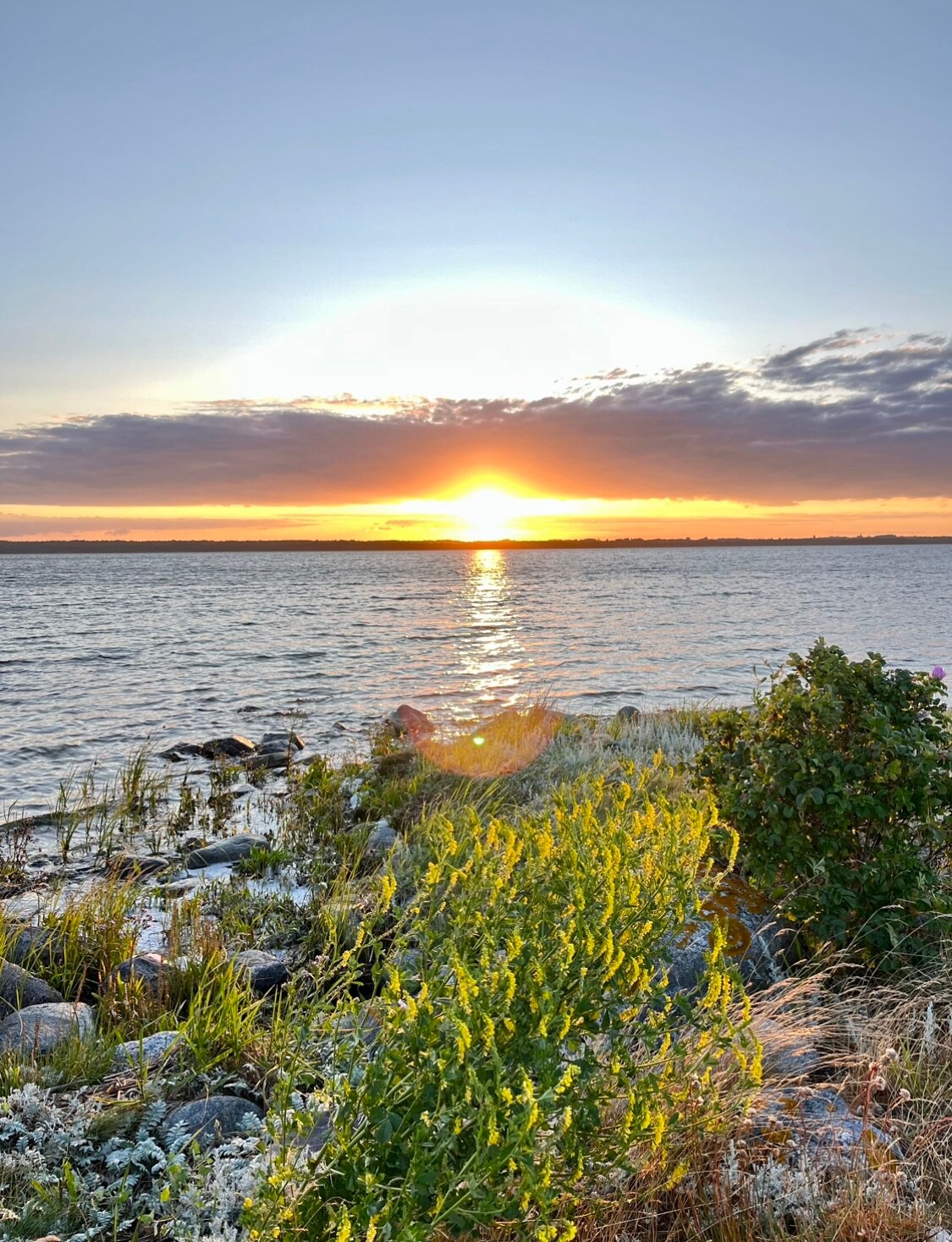 Grötlingboudd vid havet på Gotland