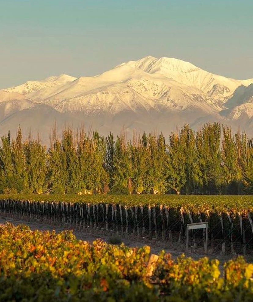 Viví una experiencia única en Bodega Monte Quieto