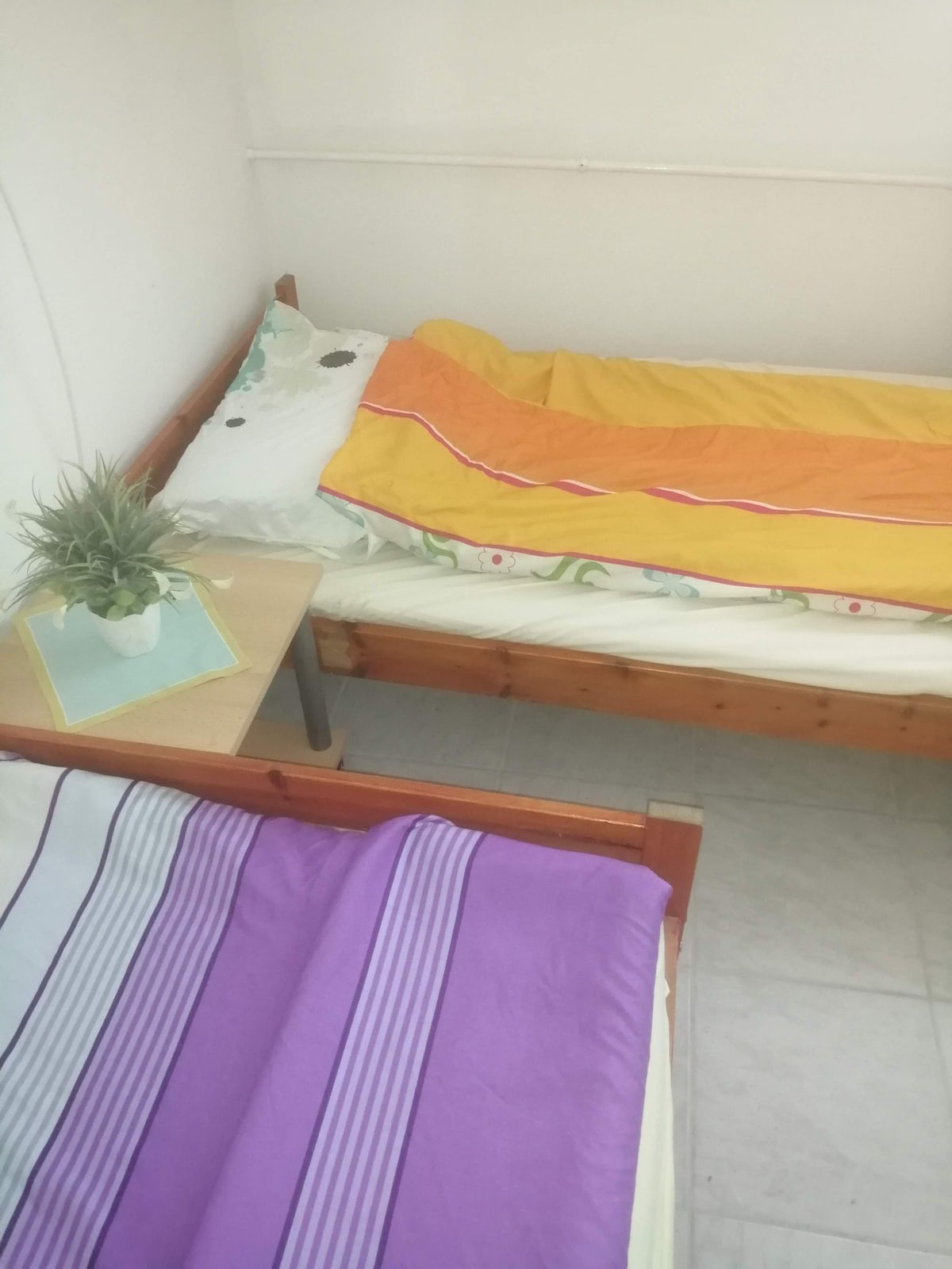 Malomtavi是一间可供3人入住的房间。