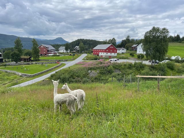 Vang kommune的民宿