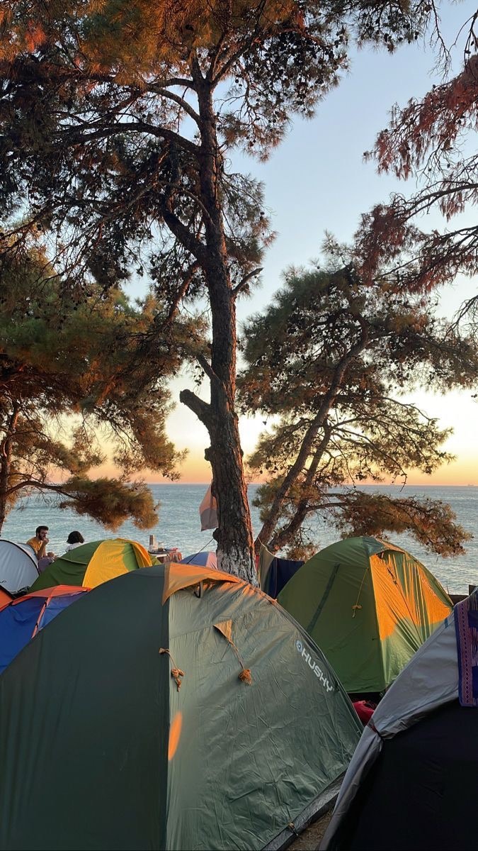 camping in the nature