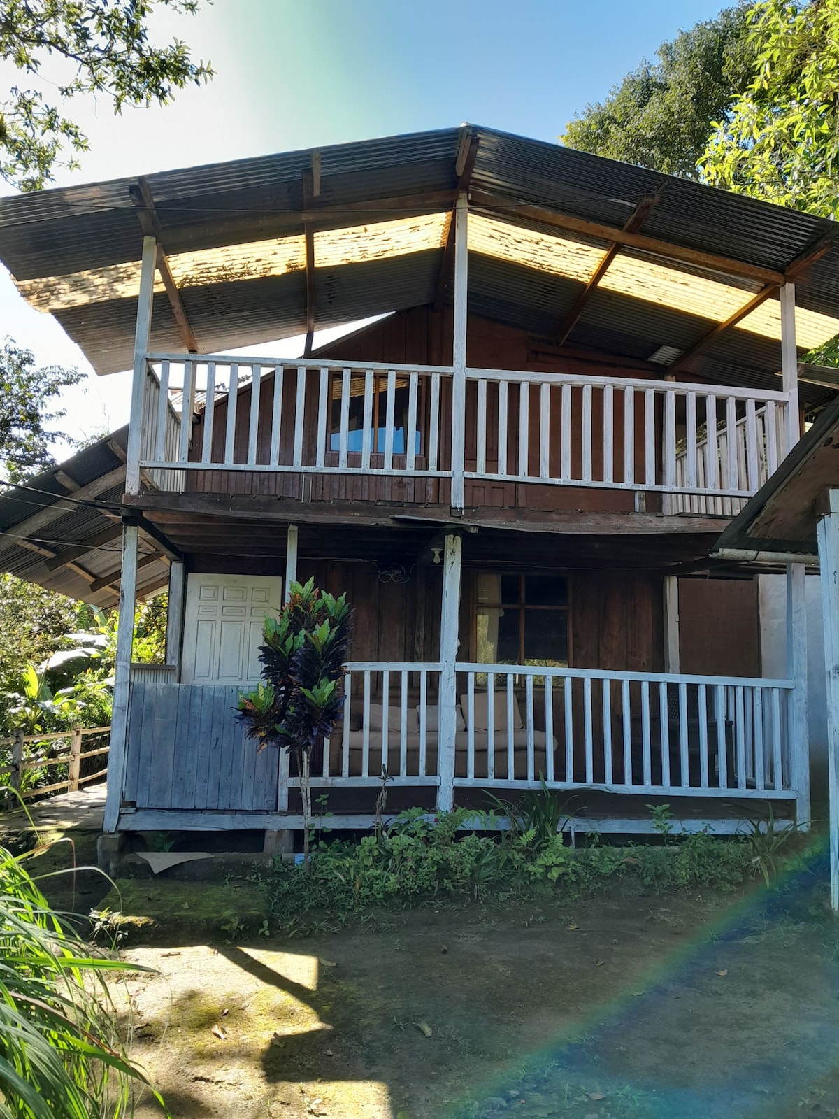 Cabañas dentro del bosque