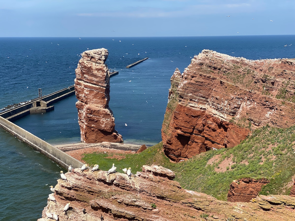 Schöne Wohnung auf Helgoland Basstölpel