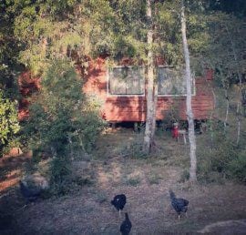 cabaña en medio de la naturaleza