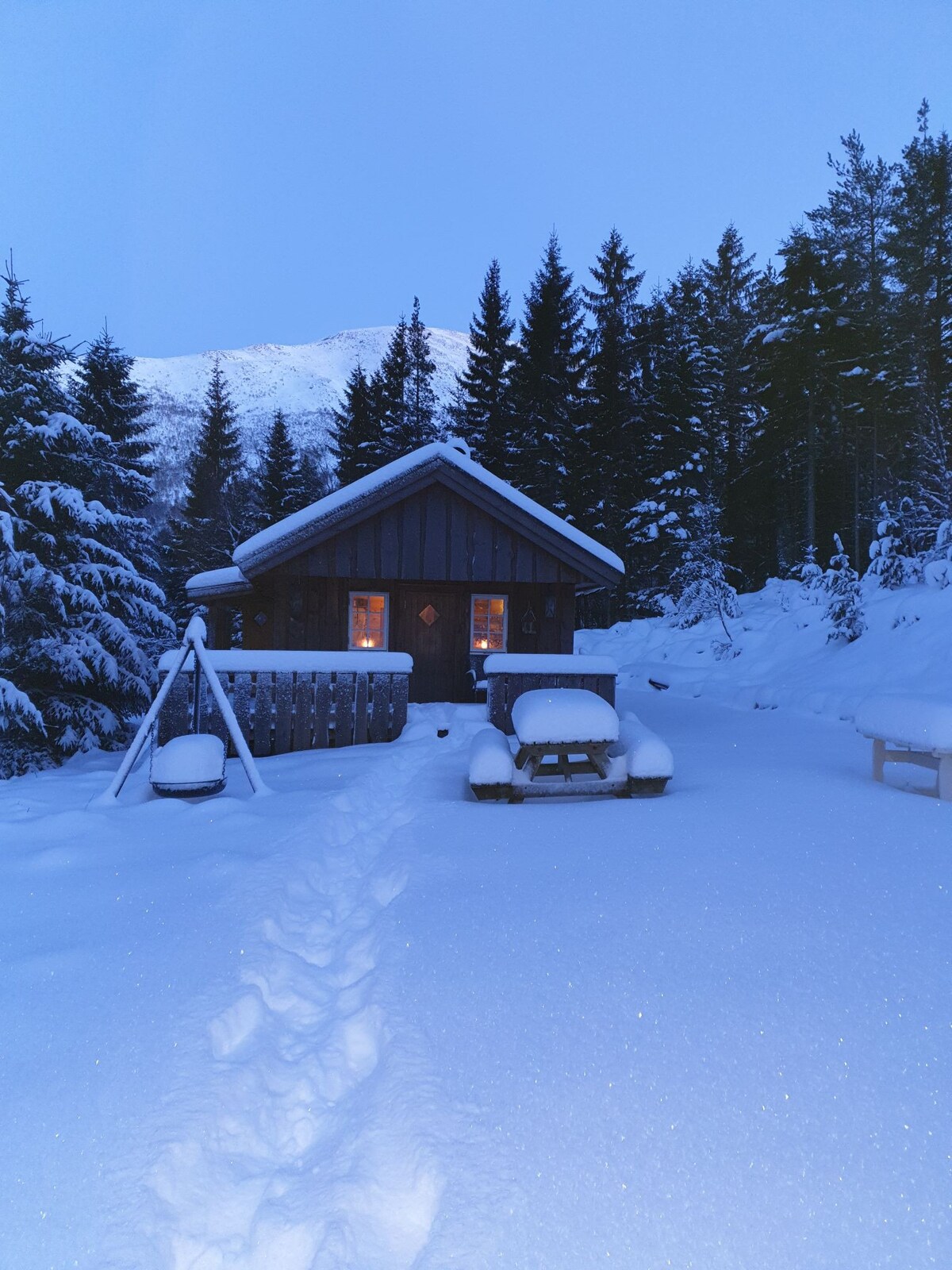 Koselig hytte i skogen