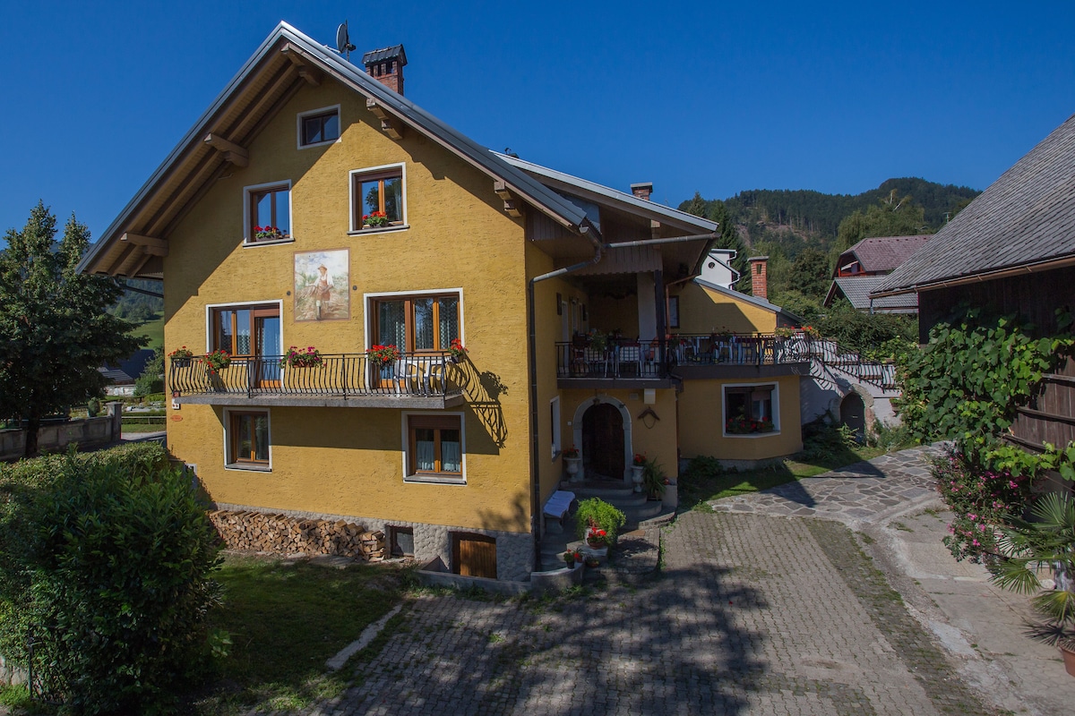 BIO tourist farm Frcej - Apt for 4 w/balcony