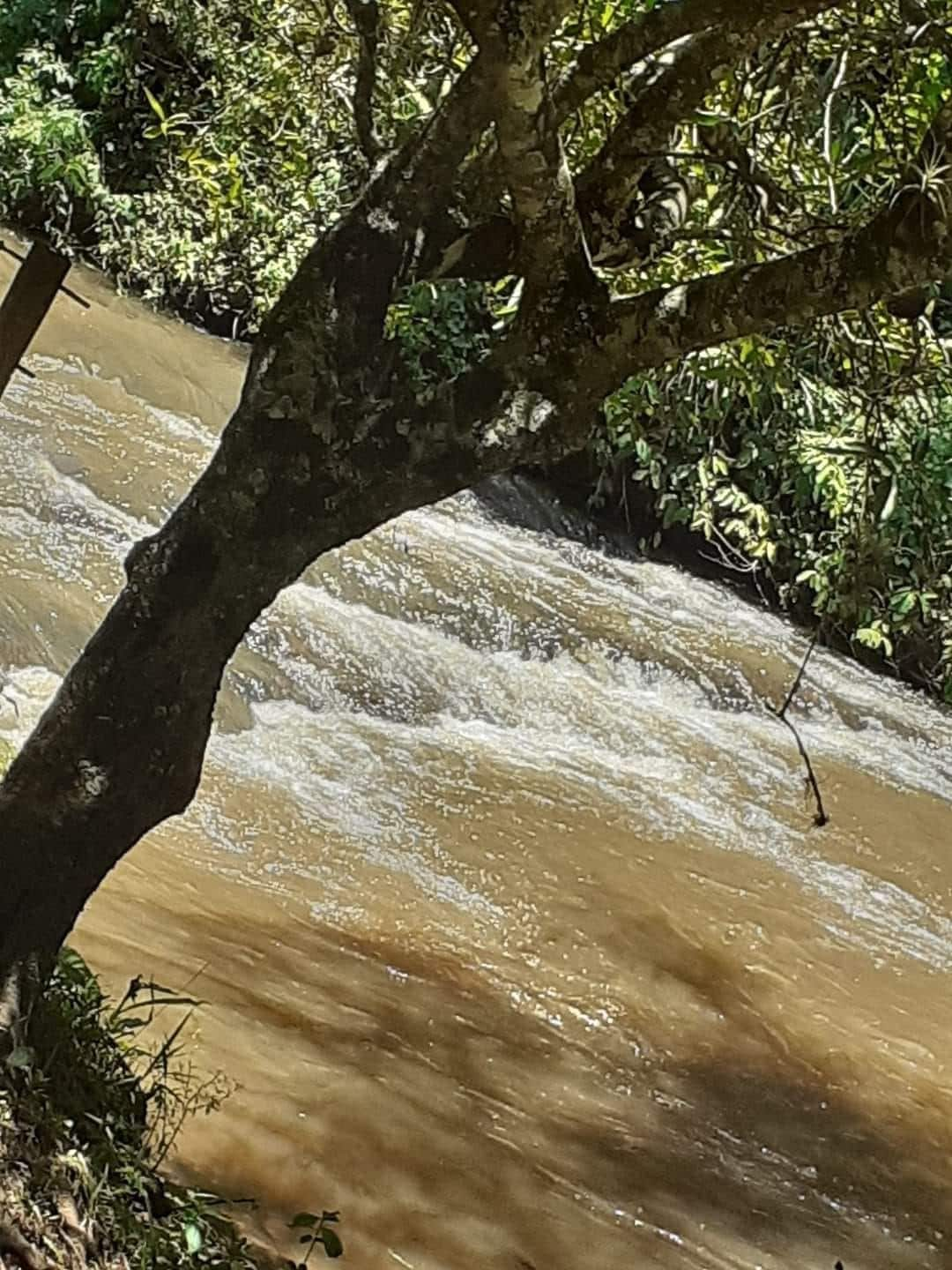 Suíte em Arealva - Cachoeira Cardoso