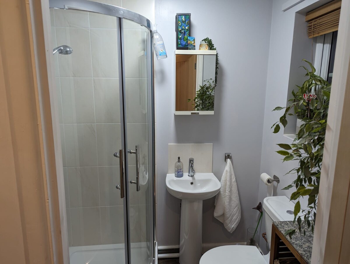 En suite double with private entrance (near RUH)