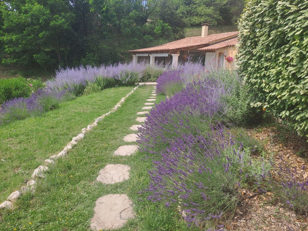 Laurier-rose, Luberon valley, exceptional view