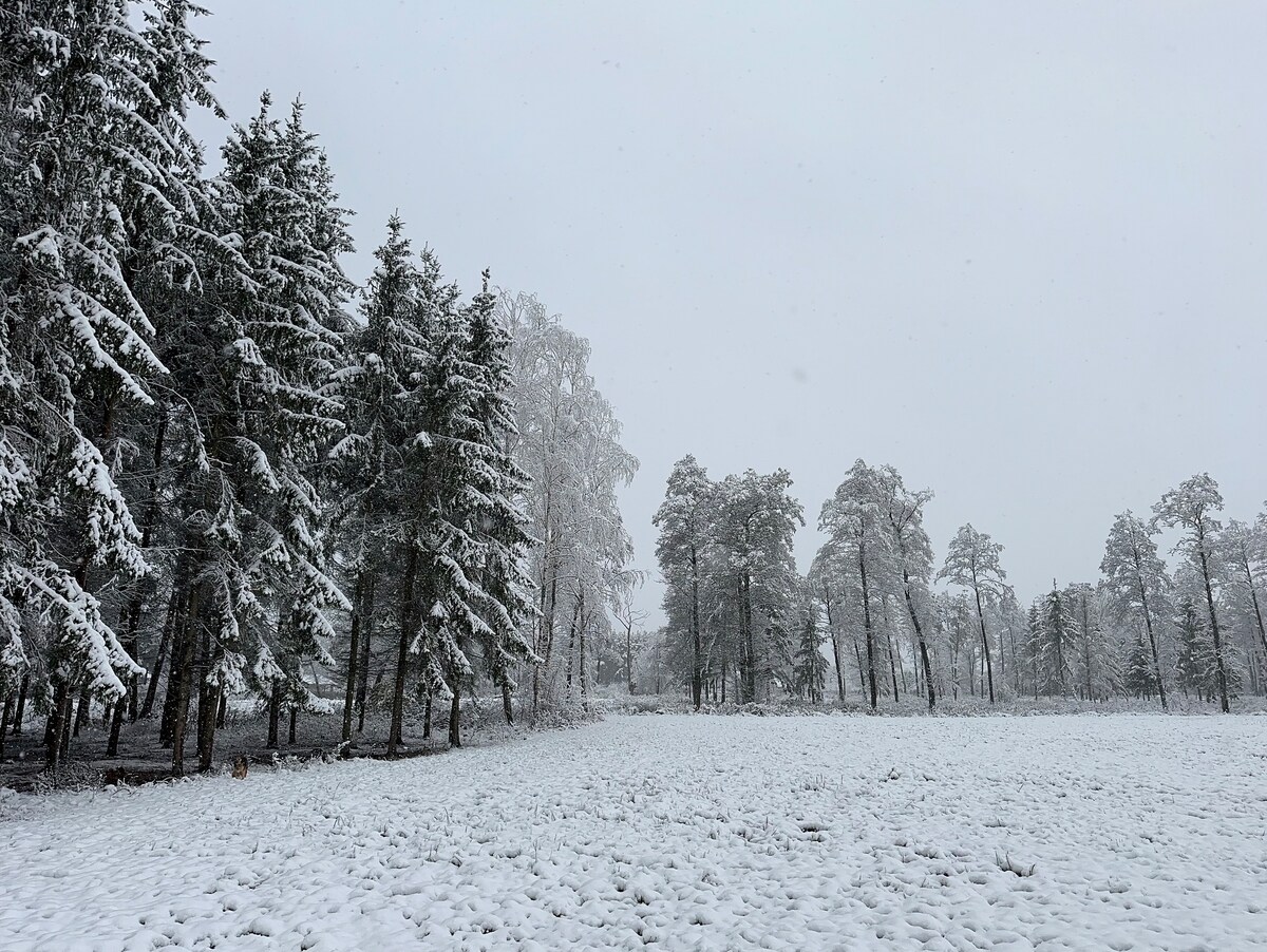 Zacisze Modrzewiowe pod Warszawą