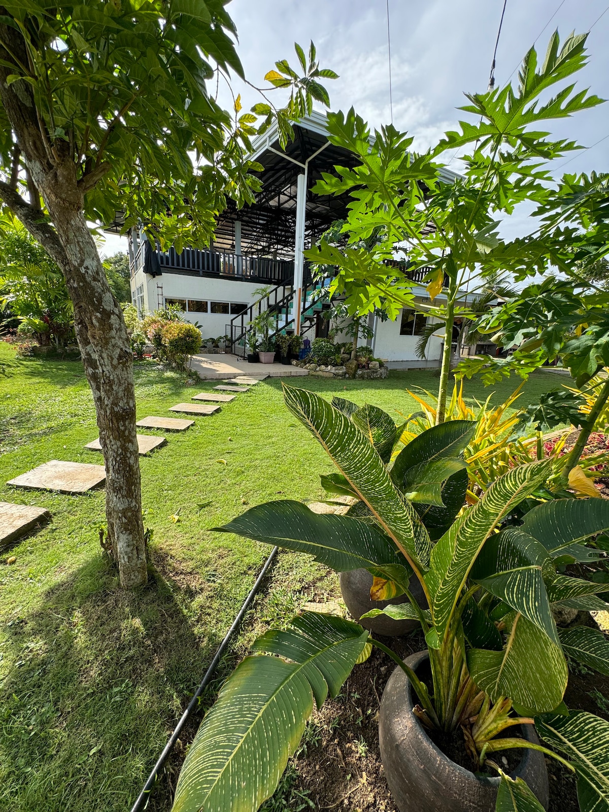 Eco Friendly Room near Panglao Airport