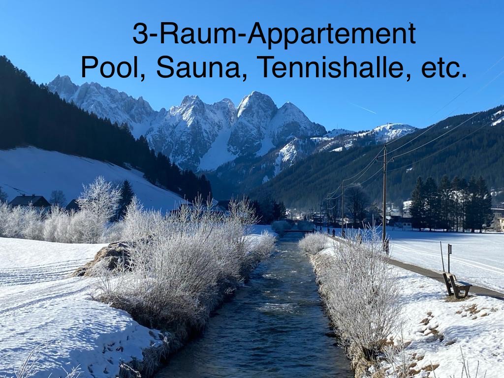 3-Raum-Appartement Salzkammergut