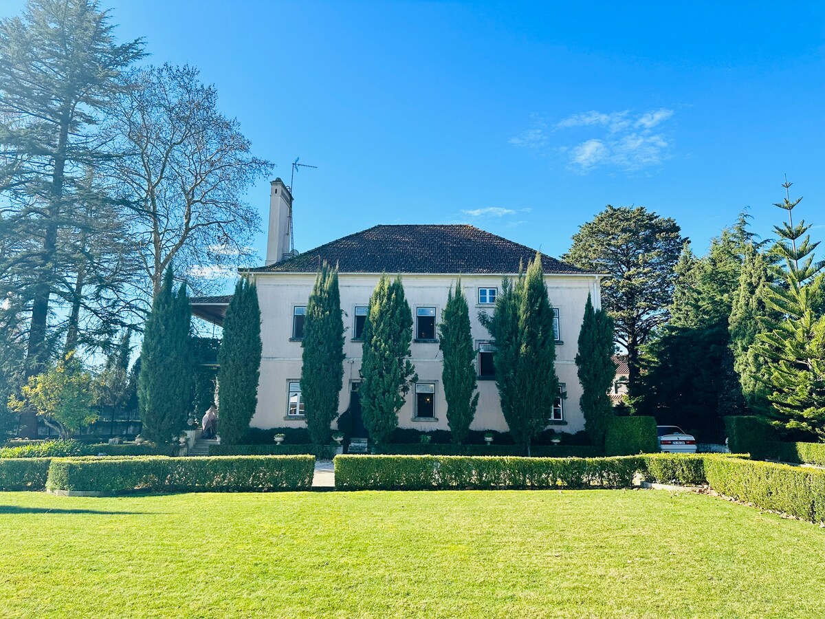 Charming Lake Villa near Tomar