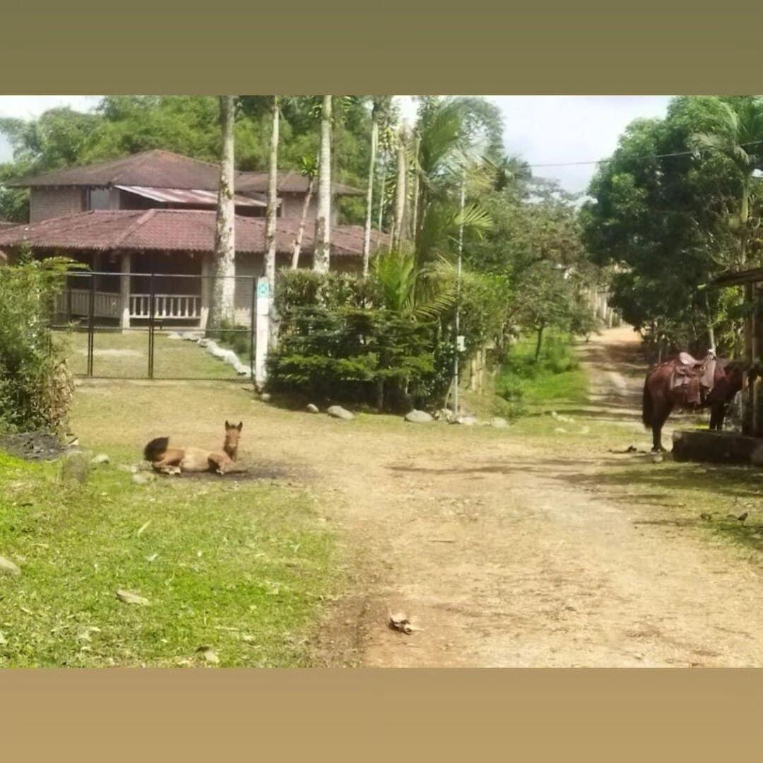 Naturaleza, libertad familia.