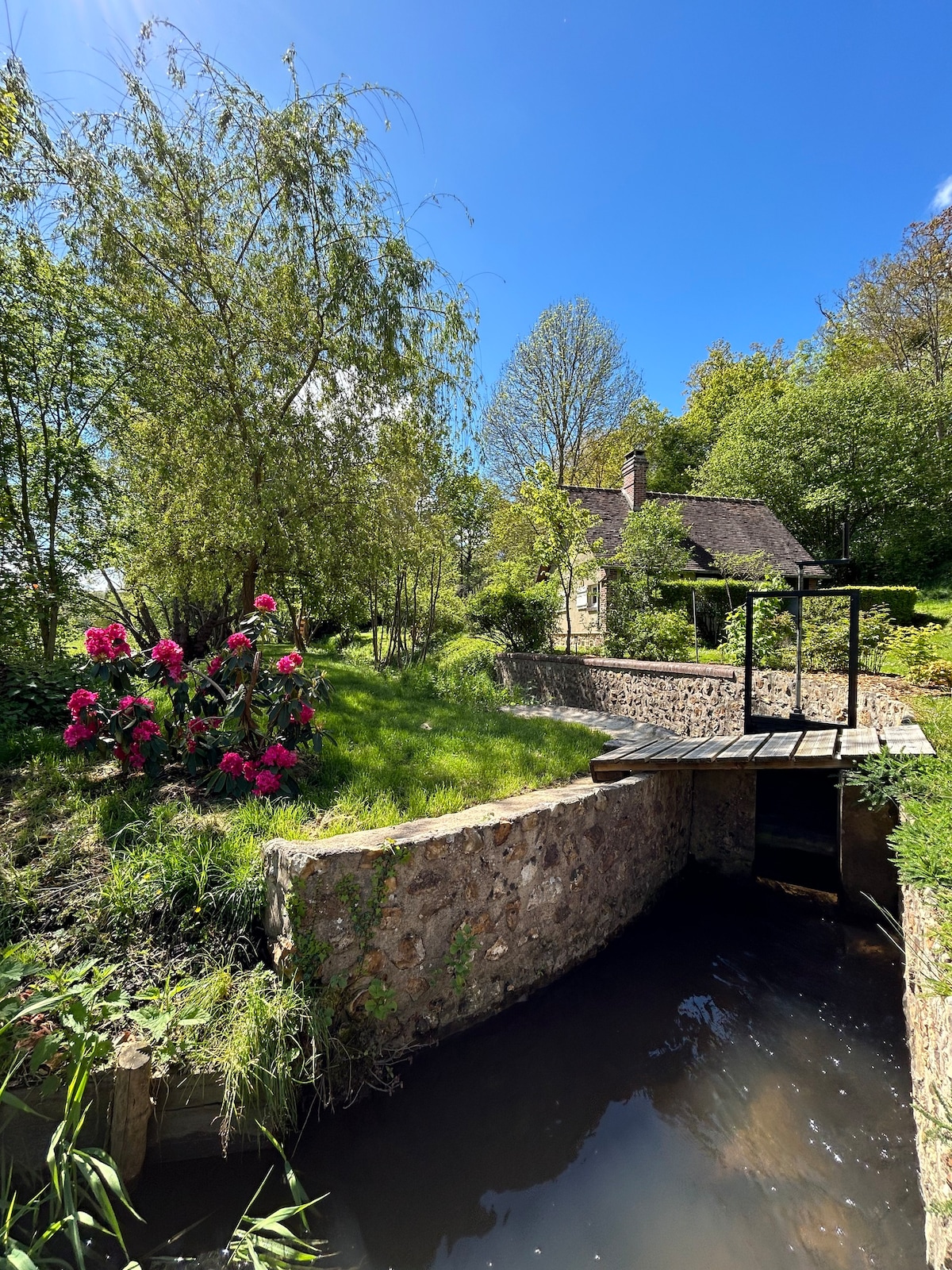 Small country side house hidden away