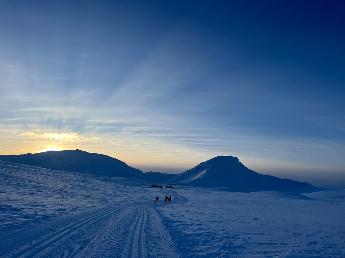 Vinterdrøm på Filefjell