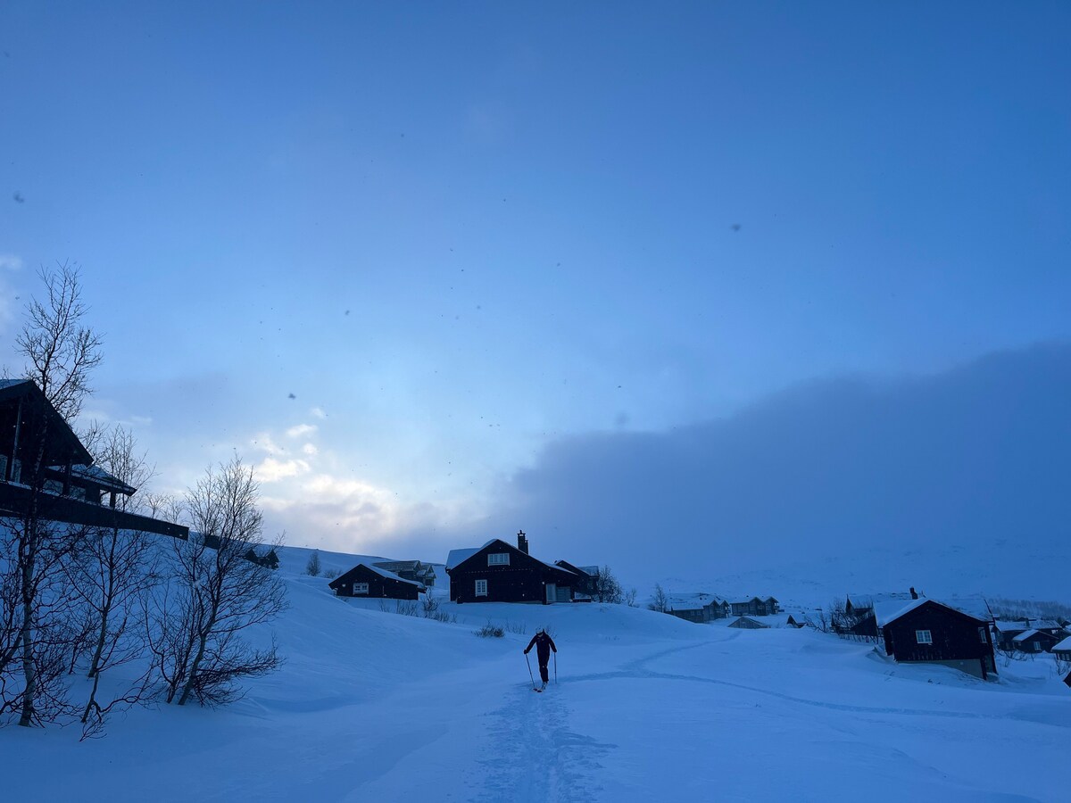 Vinterdrøm på Filefjell