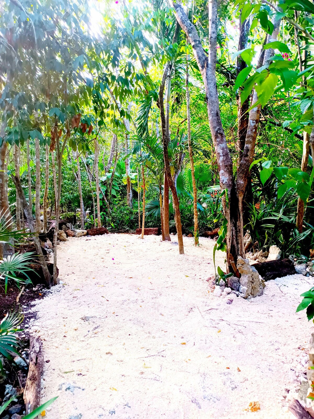 Cabaña rodeada de Cenotes