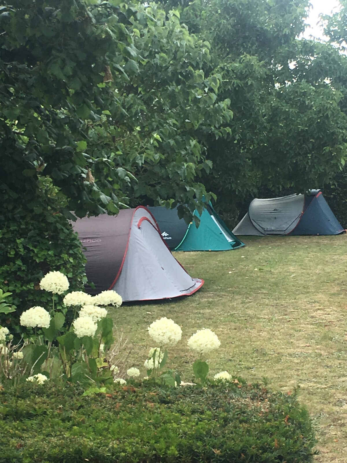 Nearest pop-up-camping @ Tomorrowland