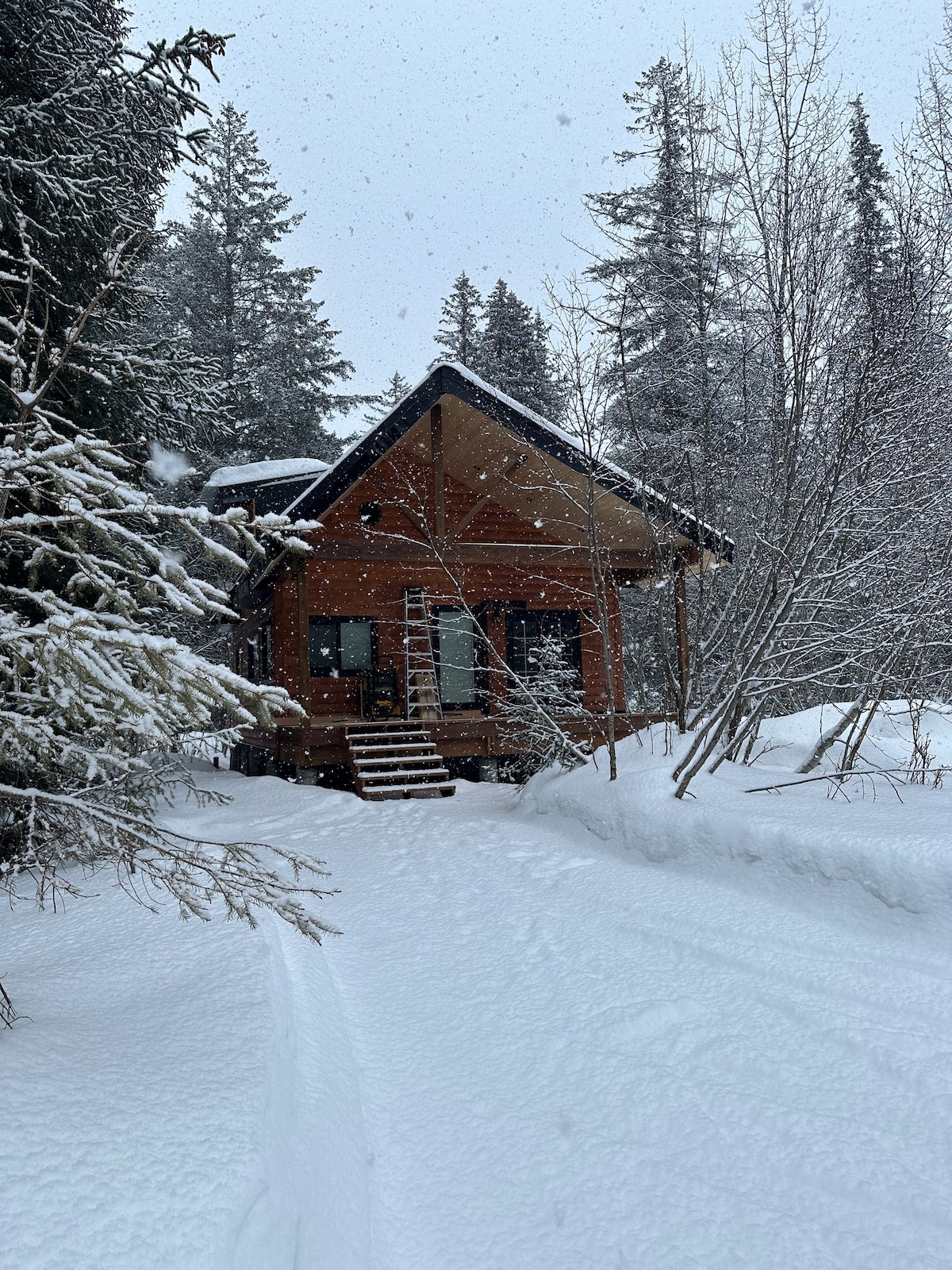 Coffey Grounds Cabin