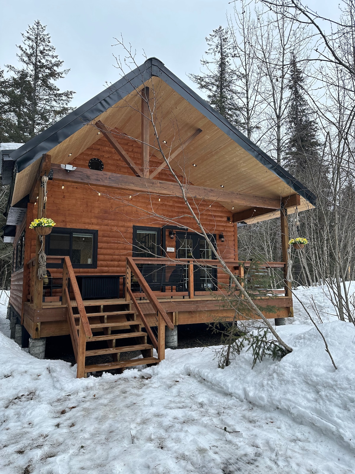 Coffey Grounds Cabin