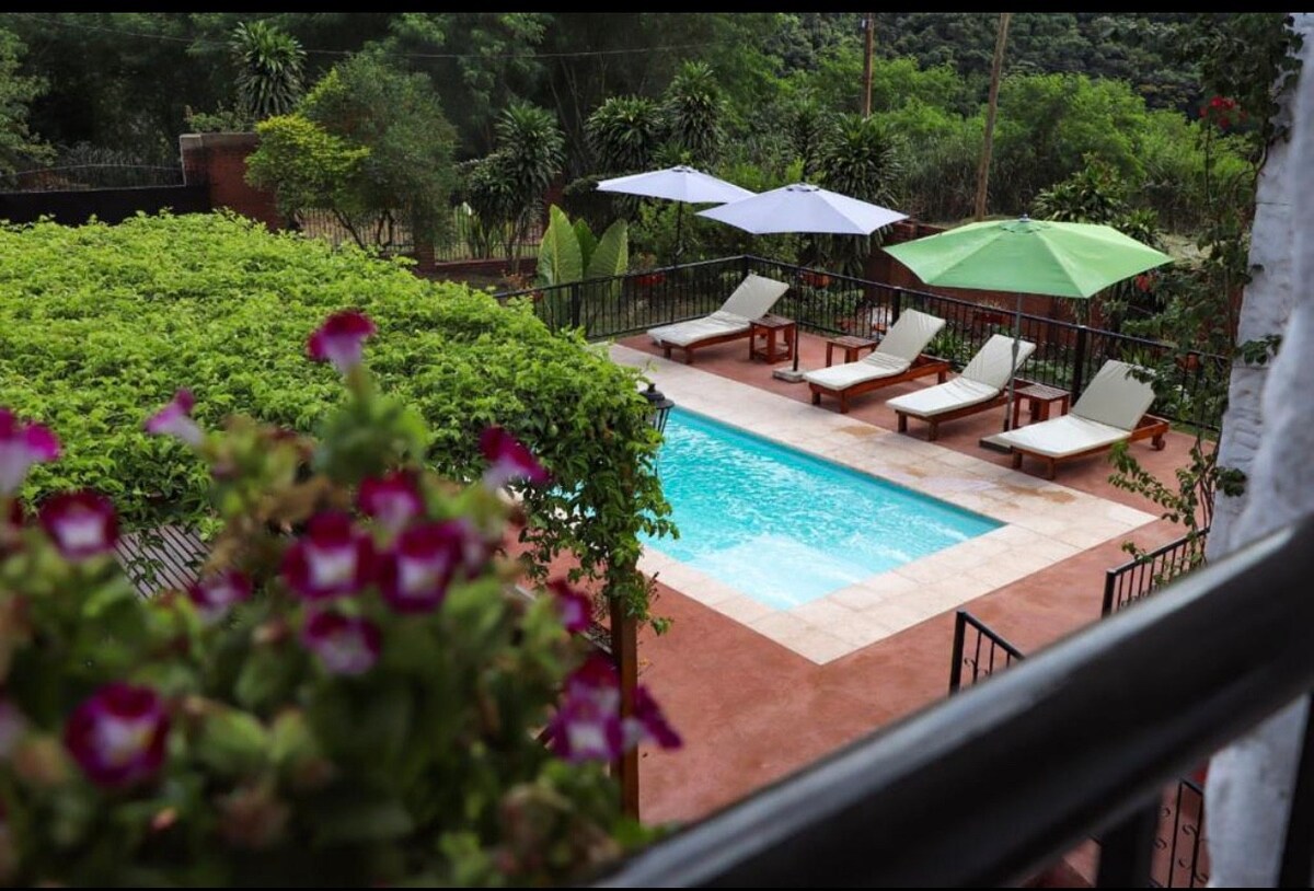 Hotel céntrico piscina selva