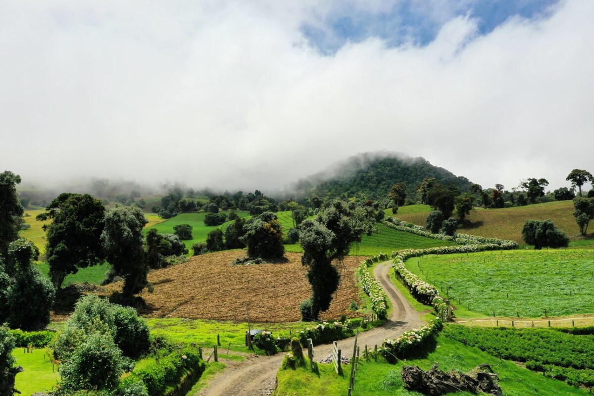 Volcán Turrialba Lodge rm#5