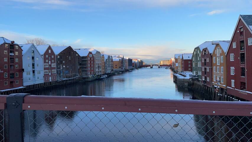 特隆赫姆(Trondheim)的民宿