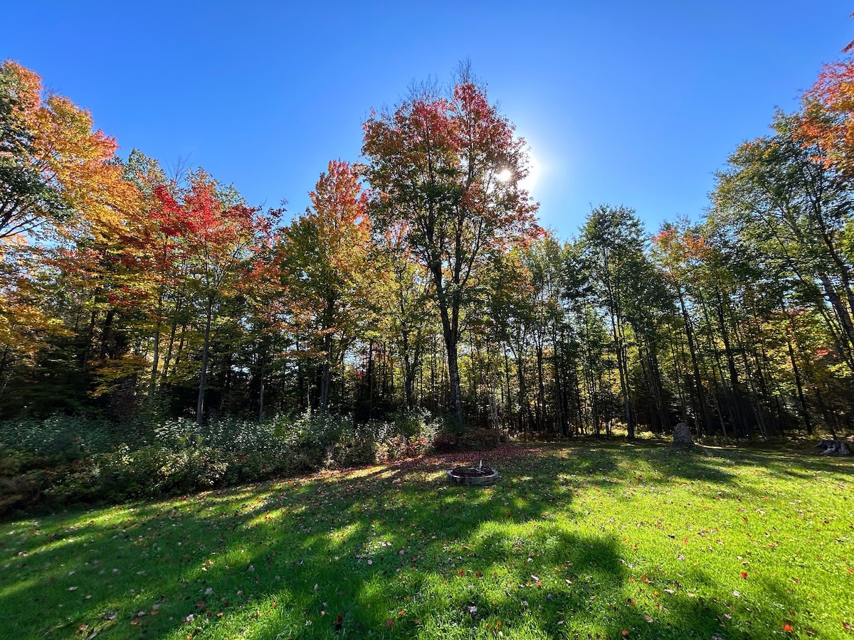 Log Cabin w Acreage & Forest Views