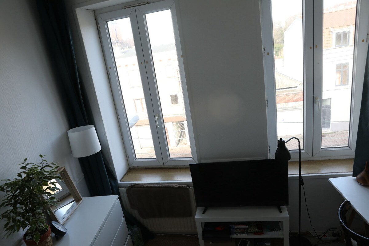 Lille grande chambre dans un appartement