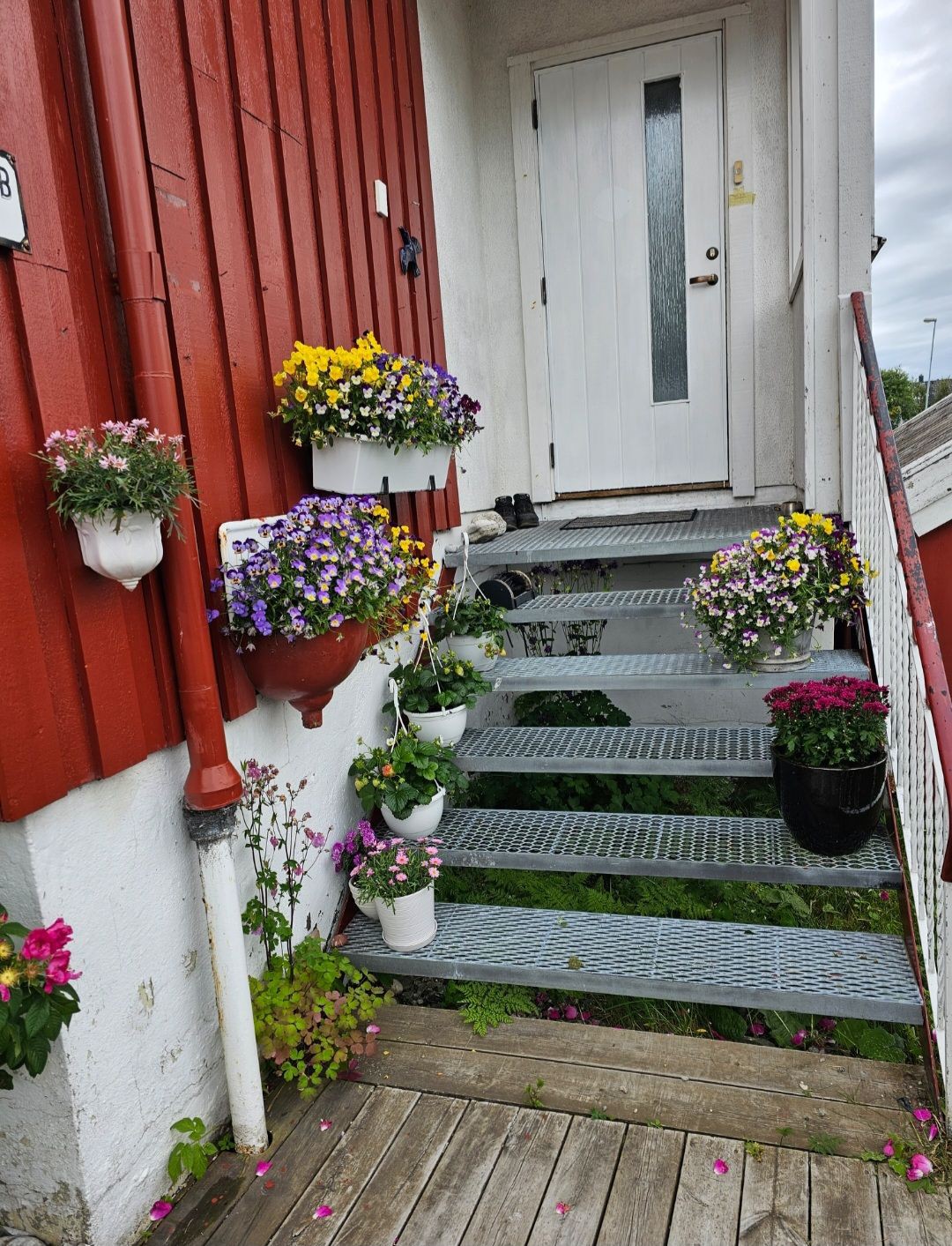 Sentral romslig bolig i Bodø.