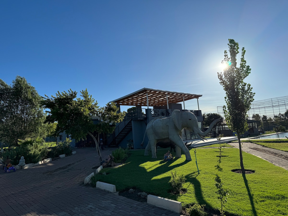 Zari on Vaal River Country Lodge