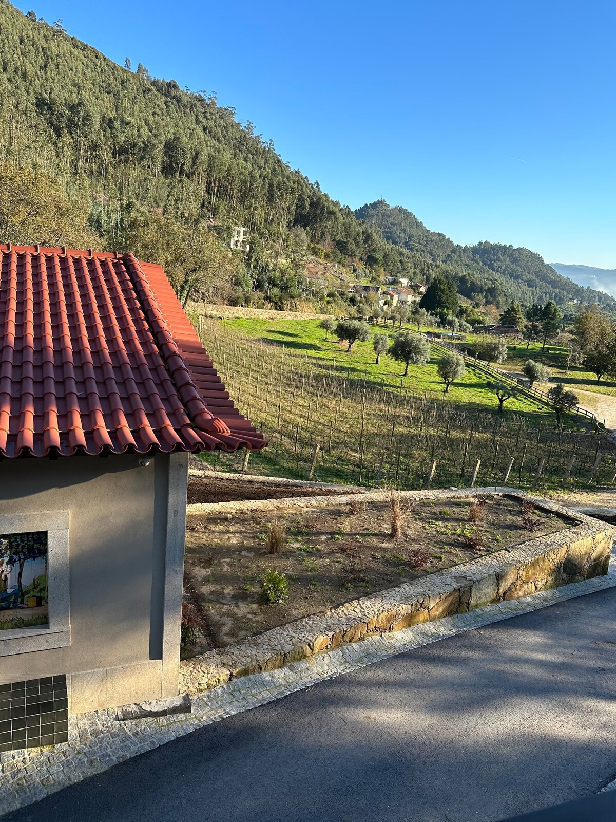 Vinte-Quinta da Boavista House俯瞰葡萄园