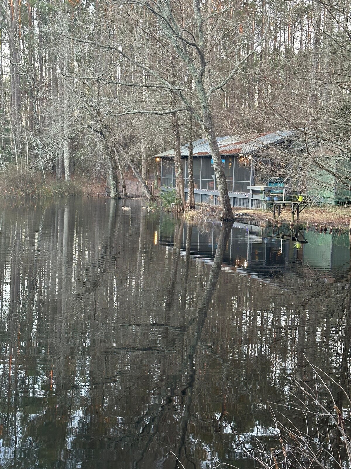 2 Cabins on Private 5 Acre Pond