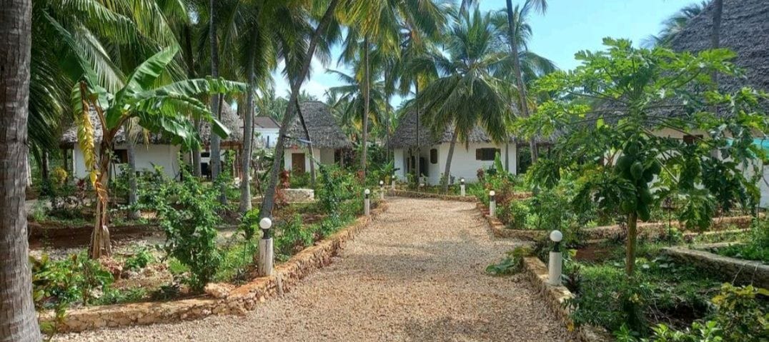 The Octopus Garden Zanzibari Style Macuthi Lodge 1