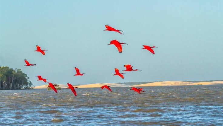 Delta Paradise - Vcat - Parnaíba/PI