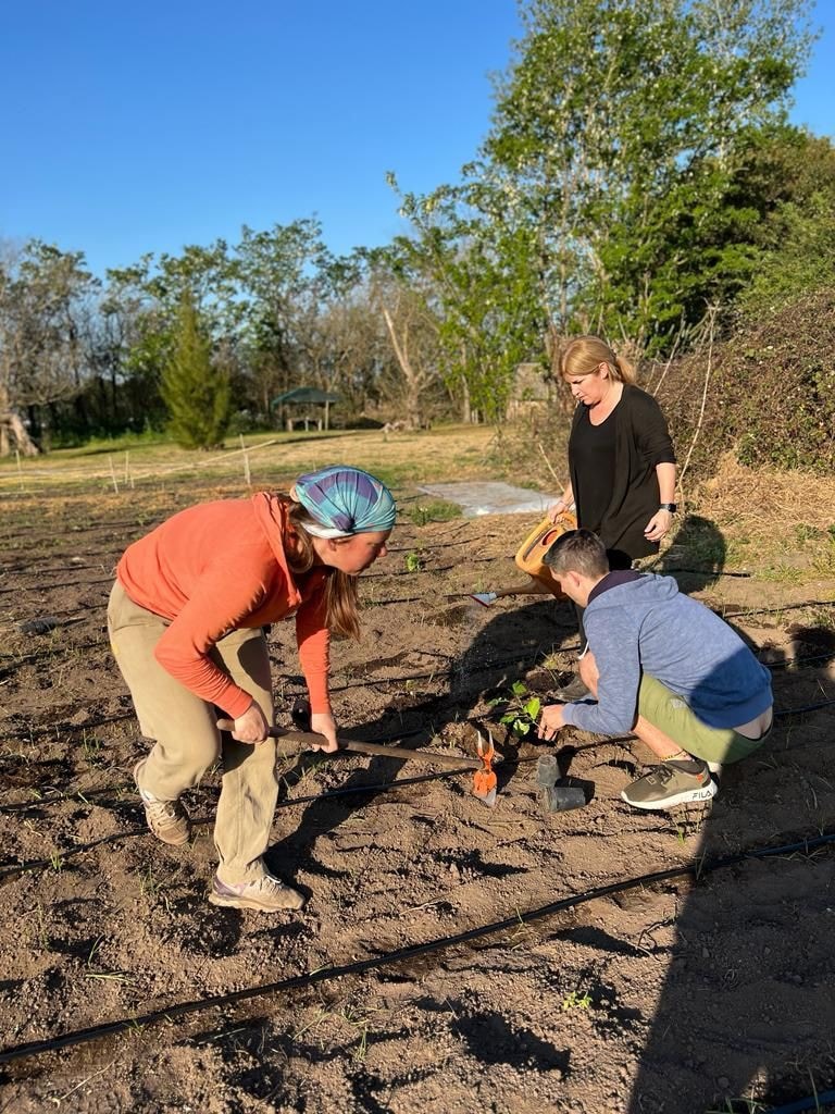 Alojamiento en establecimiento agroecológico