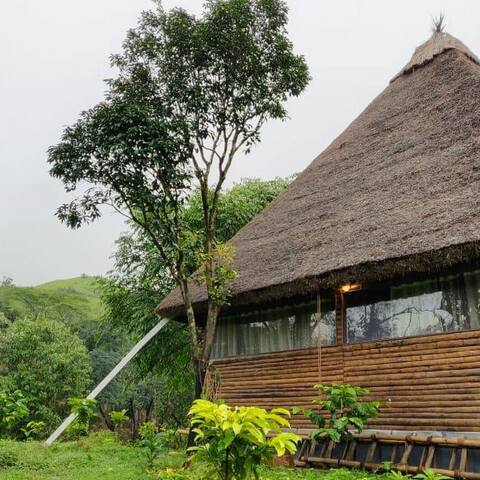 马蒂科里(Madikeri)的民宿