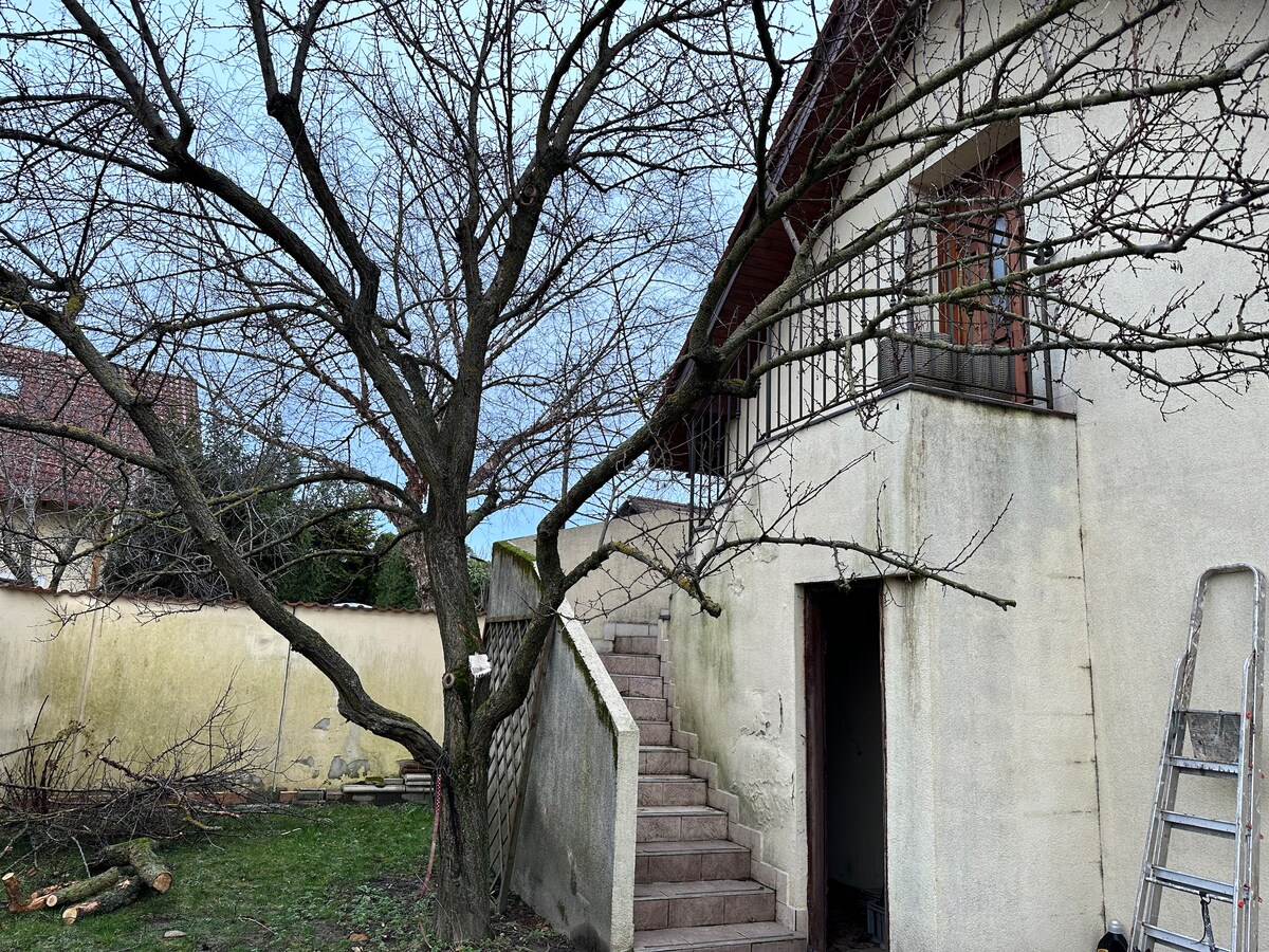 森林和水上住宿