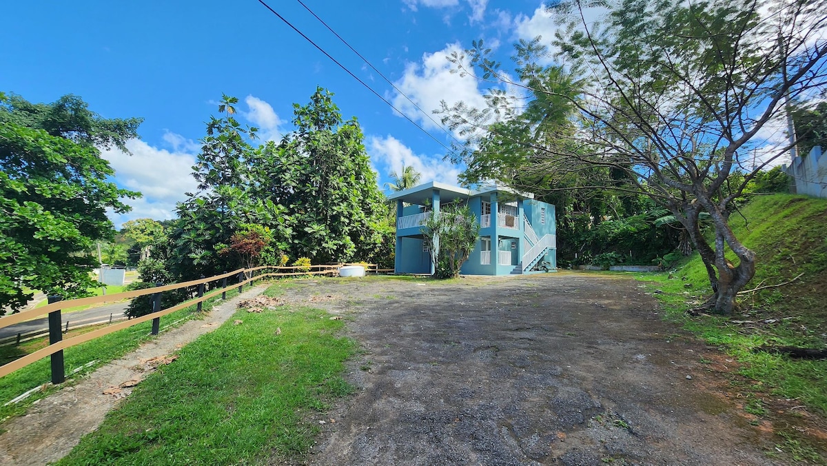 New! Hacienda Picaflor - farm stay @El Yunque