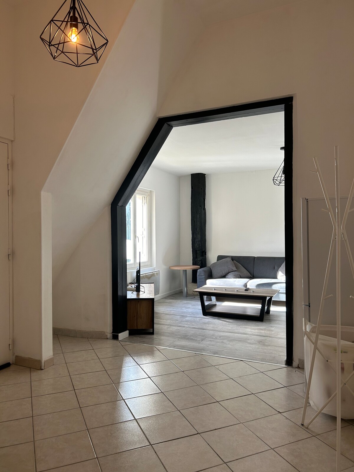Grand appartement T2 Tours