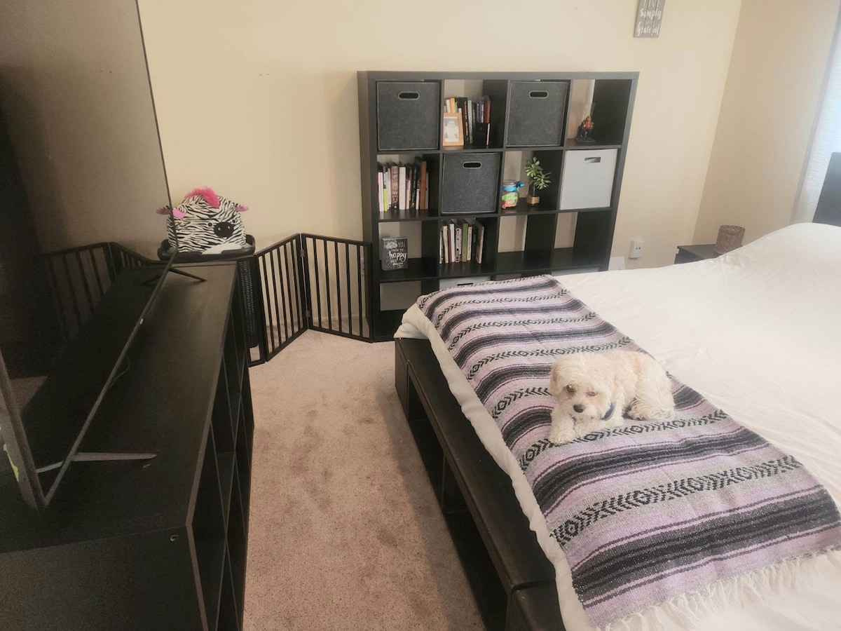 (Owner Occupied!) A cosy bedroom in College area.