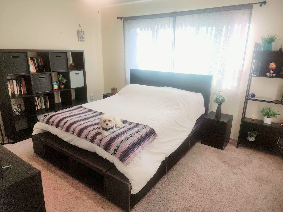 (Owner Occupied!) A cosy bedroom in College area.