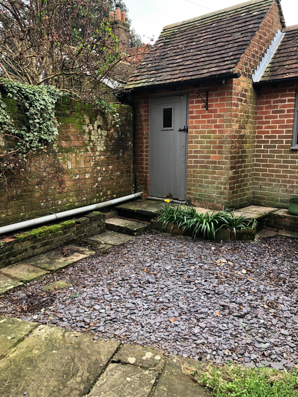 Traditional English cottage in Petersfield