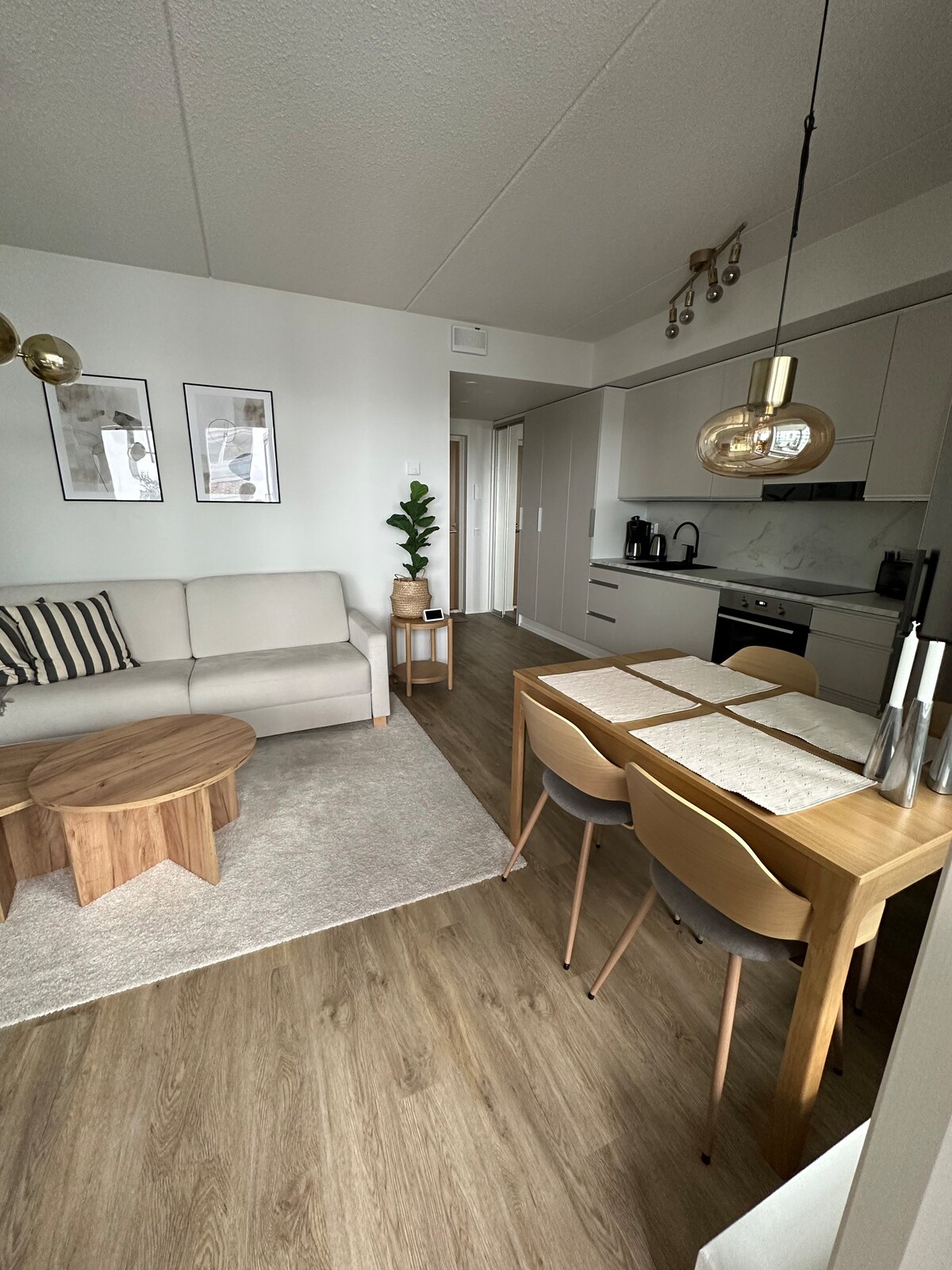 Modern 2 room apartment