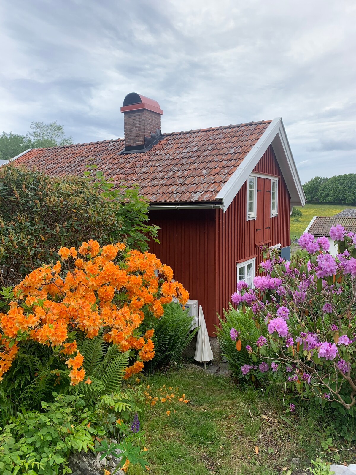 Naturnära hus i gårdsmiljö.